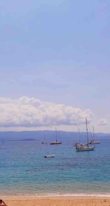 Bel F2 Pres De La Plage Ajaccio  Extérieur photo